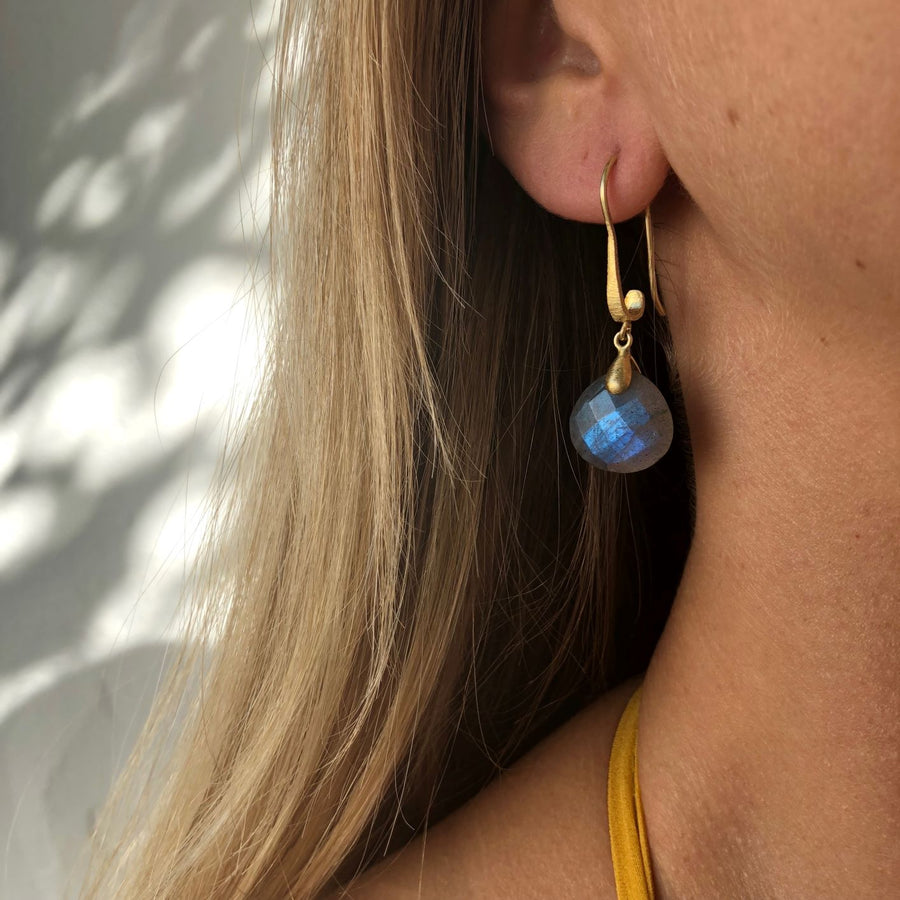 Labradorite Hook Drop Earrings Earring Rosie Odette Jewellery